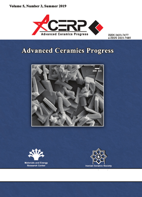 Advanced Ceramics Progress